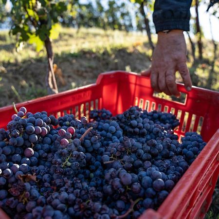 נייבה Agriturismo Antichi Poderi Gallina מראה חיצוני תמונה