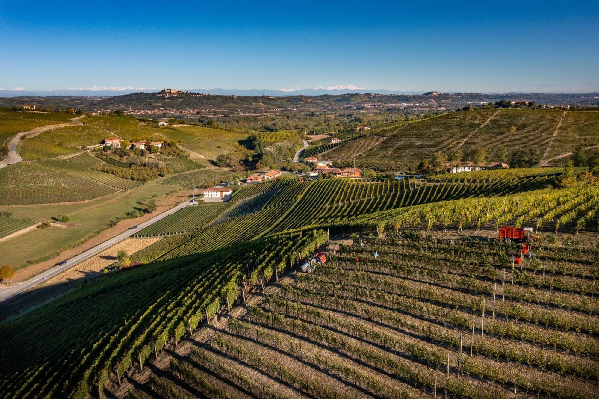 נייבה Agriturismo Antichi Poderi Gallina מראה חיצוני תמונה